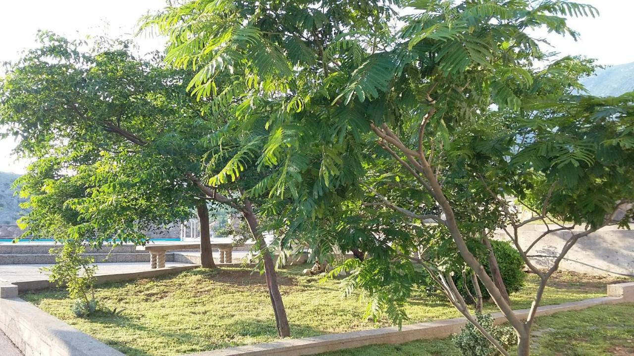 צזריקה Villa Mihaela - Apartment Ika מראה חיצוני תמונה